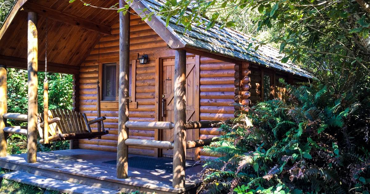 A small log cabin with a porch swing nestled into the woods surrounded by trees with sunlight shining down on it.
