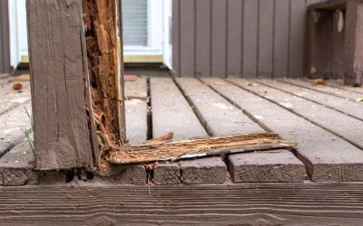How To Identify Wood Rot in Log Homes and Cabins
