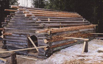 The Process of Restoring a Damaged Log Cabin