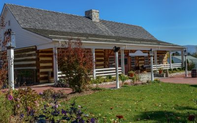 Log Home Restoration: DIY vs. Professional Services