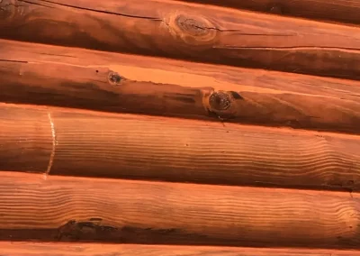 Close-up of freshly stained round logs